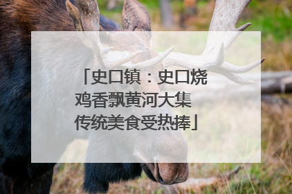 史口镇：史口烧鸡香飘黄河大集 传统美食受热捧