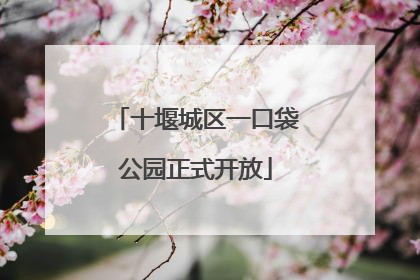 十堰城区一口袋公园正式开放