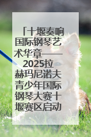 十堰奏响国际钢琴艺术华章——2025拉赫玛尼诺夫青少年国际钢琴大赛十堰赛区启动