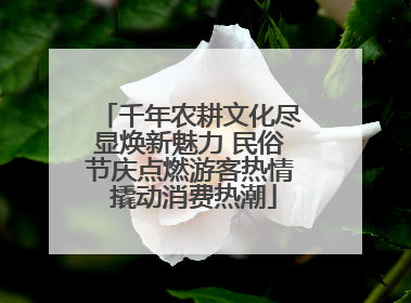 千年农耕文化尽显焕新魅力 民俗节庆点燃游客热情 撬动消费热潮