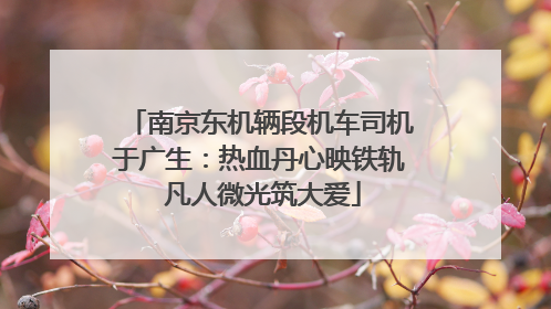 南京东机辆段机车司机于广生：热血丹心映铁轨 凡人微光筑大爱