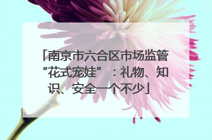 南京市六合区市场监管“花式宠娃”：礼物、知识、安全一个不少