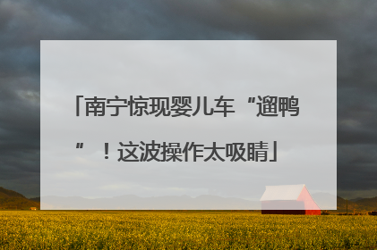 南宁惊现婴儿车“遛鸭”！这波操作太吸睛