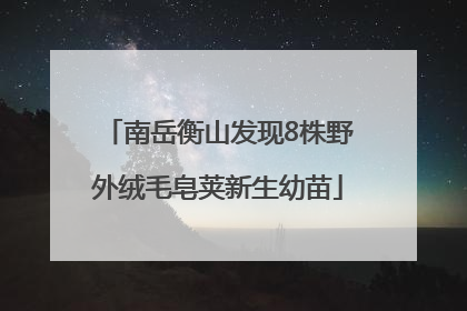 南岳衡山发现8株野外绒毛皂荚新生幼苗