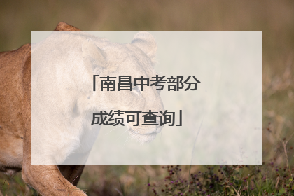 南昌中考部分成绩可查询