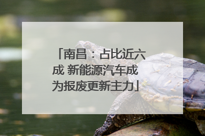 南昌：占比近六成 新能源汽车成为报废更新主力