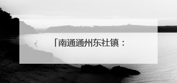 南通通州东社镇：“五一”返乡，党员们“归巢”学习