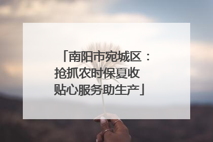 南阳市宛城区：抢抓农时保夏收 贴心服务助生产