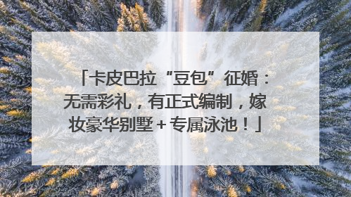 卡皮巴拉“豆包”征婚：无需彩礼，有正式编制，嫁妆豪华别墅＋专属泳池！