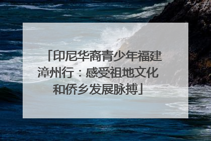 印尼华裔青少年福建漳州行：感受祖地文化和侨乡发展脉搏