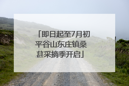 即日起至7月初 平谷山东庄镇桑葚采摘季开启