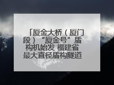 厦金大桥（厦门段）“厦金号”盾构机始发 福建省最大直径盾构隧道正式掘进