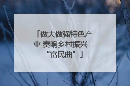 做大做强特色产业 奏响乡村振兴“富民曲”