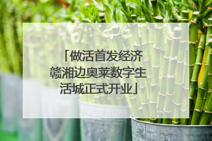 做活首发经济 赣湘边奥莱数字生活城正式开业
