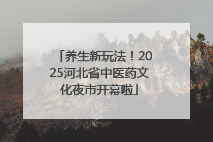 养生新玩法！2025河北省中医药文化夜市开幕啦