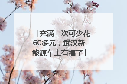 充满一次可少花60多元，武汉新能源车主有福了