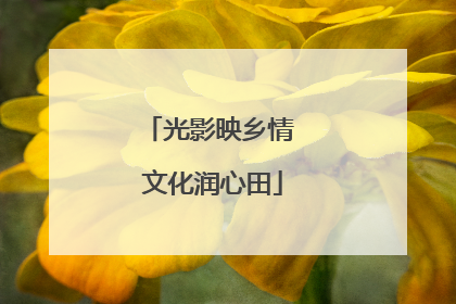 光影映乡情 文化润心田