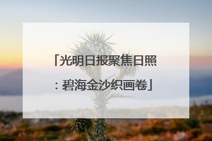 光明日报聚焦日照：碧海金沙织画卷