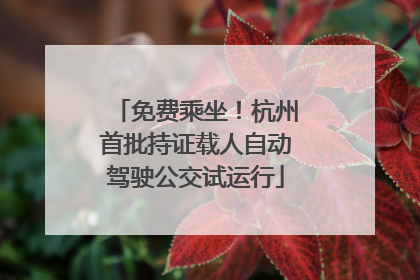 免费乘坐！杭州首批持证载人自动驾驶公交试运行