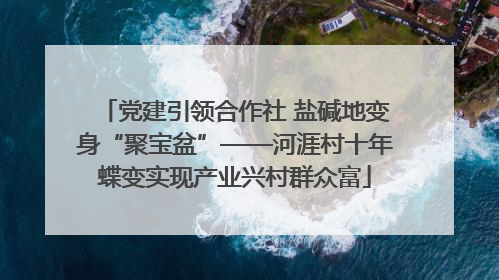 党建引领合作社 盐碱地变身“聚宝盆”——河涯村十年蝶变实现产业兴村群众富