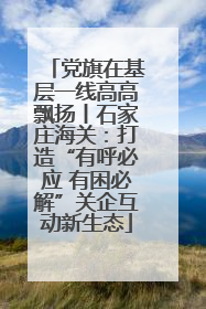 党旗在基层一线高高飘扬丨石家庄海关：打造“有呼必应 有困必解”关企互动新生态