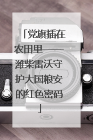 党旗插在农田里——潍柴雷沃守护大国粮安的红色密码