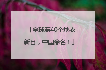 全球第40个地衣新目，中国命名！