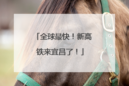全球最快！新高铁来宜昌了！