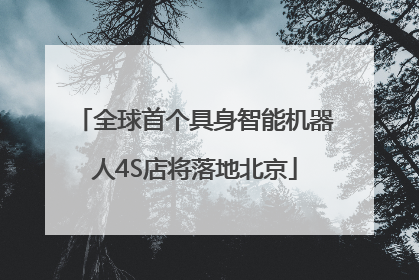 全球首个具身智能机器人4S店将落地北京