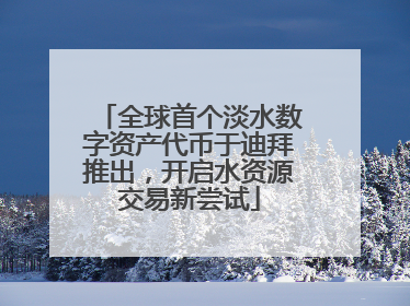 全球首个淡水数字资产代币于迪拜推出，开启水资源交易新尝试