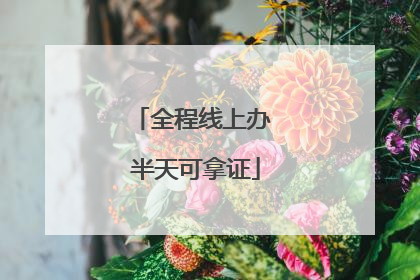 全程线上办 半天可拿证