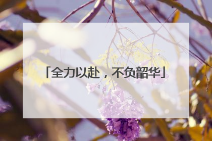 全力以赴，不负韶华