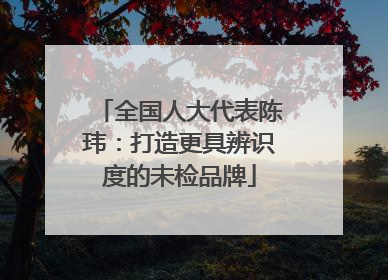 全国人大代表陈玮：打造更具辨识度的未检品牌