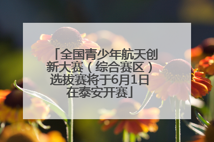 全国青少年航天创新大赛（综合赛区）选拔赛将于6月1日在泰安开赛