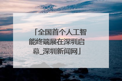 全国首个人工智能终端展在深圳启幕_深圳新闻网