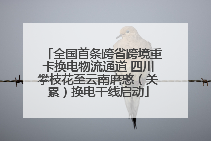 全国首条跨省跨境重卡换电物流通道 四川攀枝花至云南磨憨（关累）换电干线启动