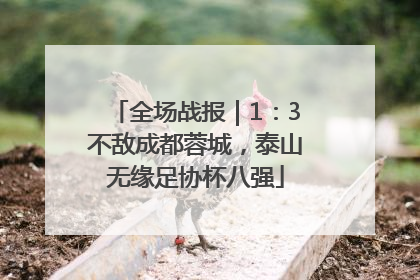 全场战报｜1：3不敌成都蓉城，泰山无缘足协杯八强