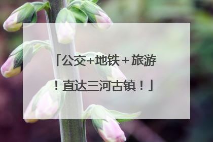 公交+地铁＋旅游！直达三河古镇！