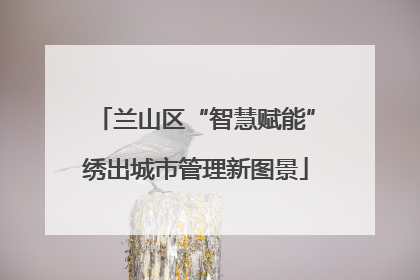 兰山区“智慧赋能”绣出城市管理新图景