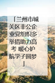 兰州市城关区非公企业党组织多举措助力高考 暖心护航学子圆梦