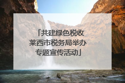 共建绿色税收 莱西市税务局举办专题宣传活动