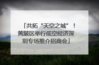 共拓“天空之城”！黄陂区举行低空经济深圳专场推介招商会