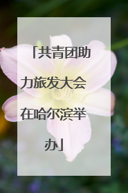共青团助力旅发大会在哈尔滨举办