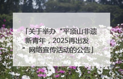 关于举办“平顶山非遗新青年，2025再出发”网络宣传活动的公告