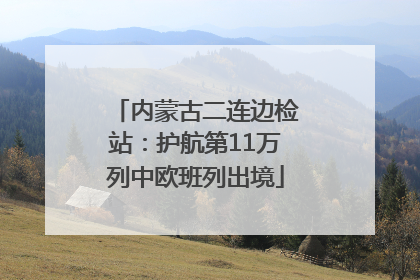内蒙古二连边检站：护航第11万列中欧班列出境
