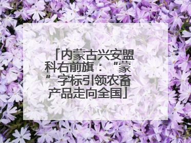 内蒙古兴安盟科右前旗：“蒙”字标引领农畜产品走向全国