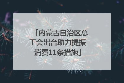 内蒙古自治区总工会出台助力提振消费11条措施