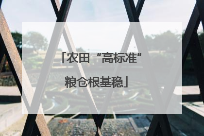 农田“高标准” 粮仓根基稳