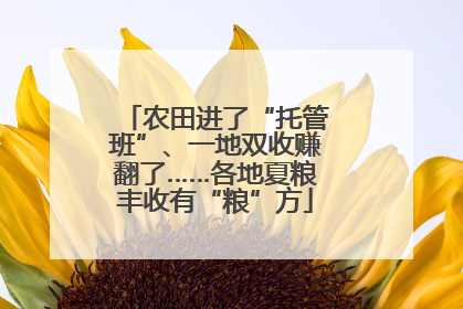 农田进了“托管班”、一地双收赚翻了……各地夏粮丰收有“粮”方