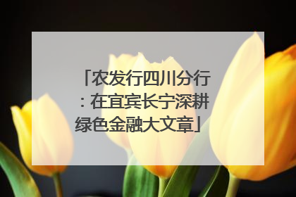 农发行四川分行：在宜宾长宁深耕绿色金融大文章